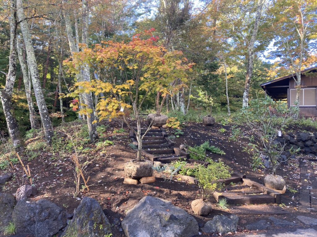 施工事例の一つであるお庭